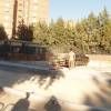 P2050072 copia.jpg